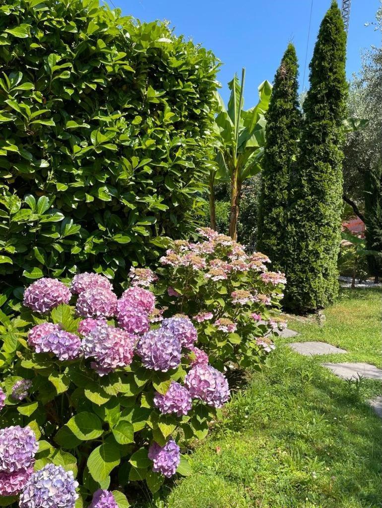 Appartamento La Perla Torri Del Benaco Esterno foto